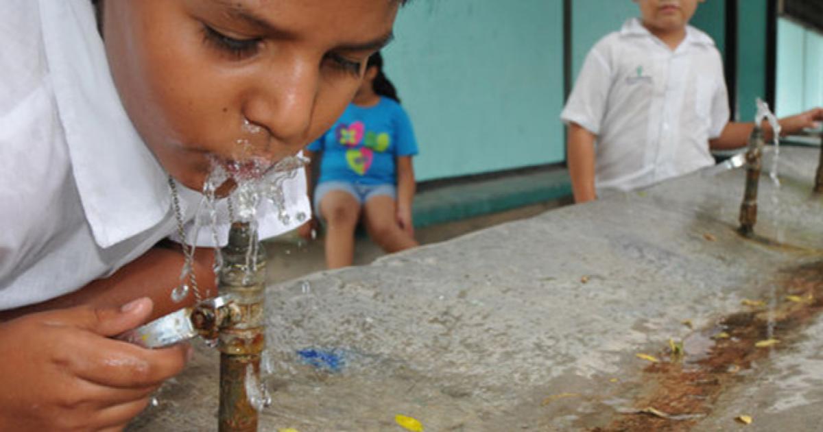 Desperdicio De Agua En Los Colegios