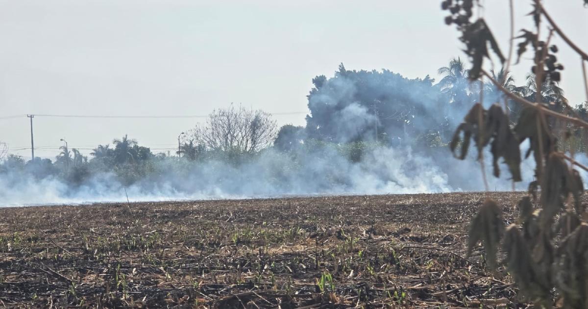 Quema de pastizales y de basura afectan la salud – Noticias de Cuautla