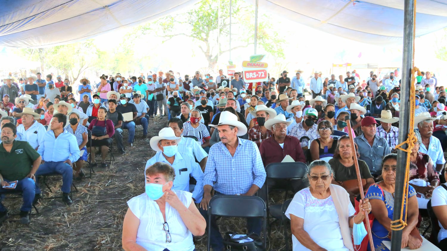 Inicia Isaac Pimentel Mejía entrega de semillas a productores de Ayala