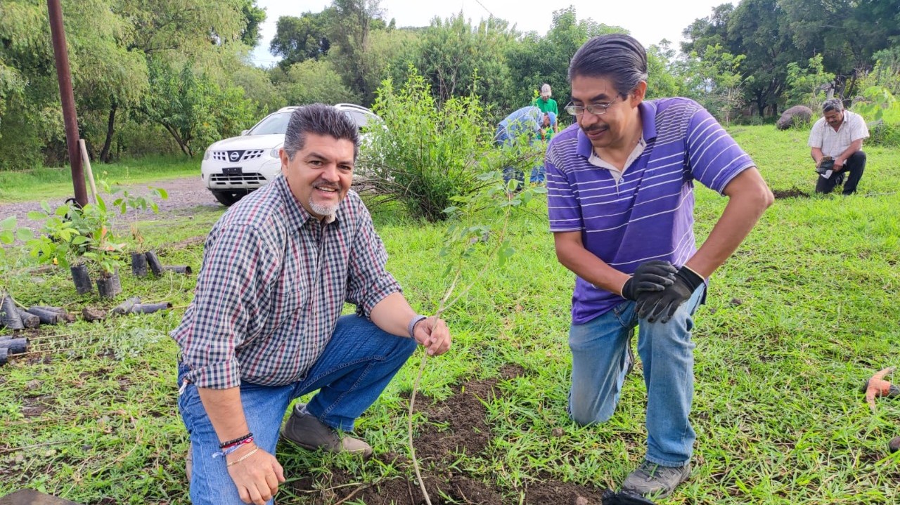 Reforestan zona núcleo del área natural protegida «Río Cuautla»