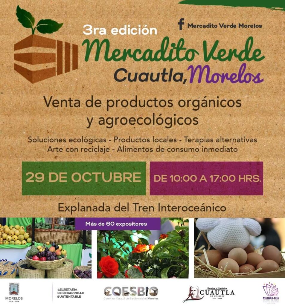 Invitan a disfrutar la tercera edición del mercadito verde en