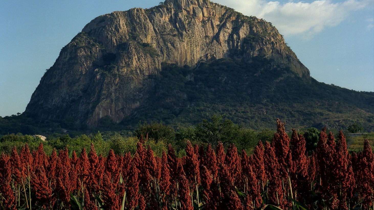Capacita SEDAGRO a productores en transición agroecológica