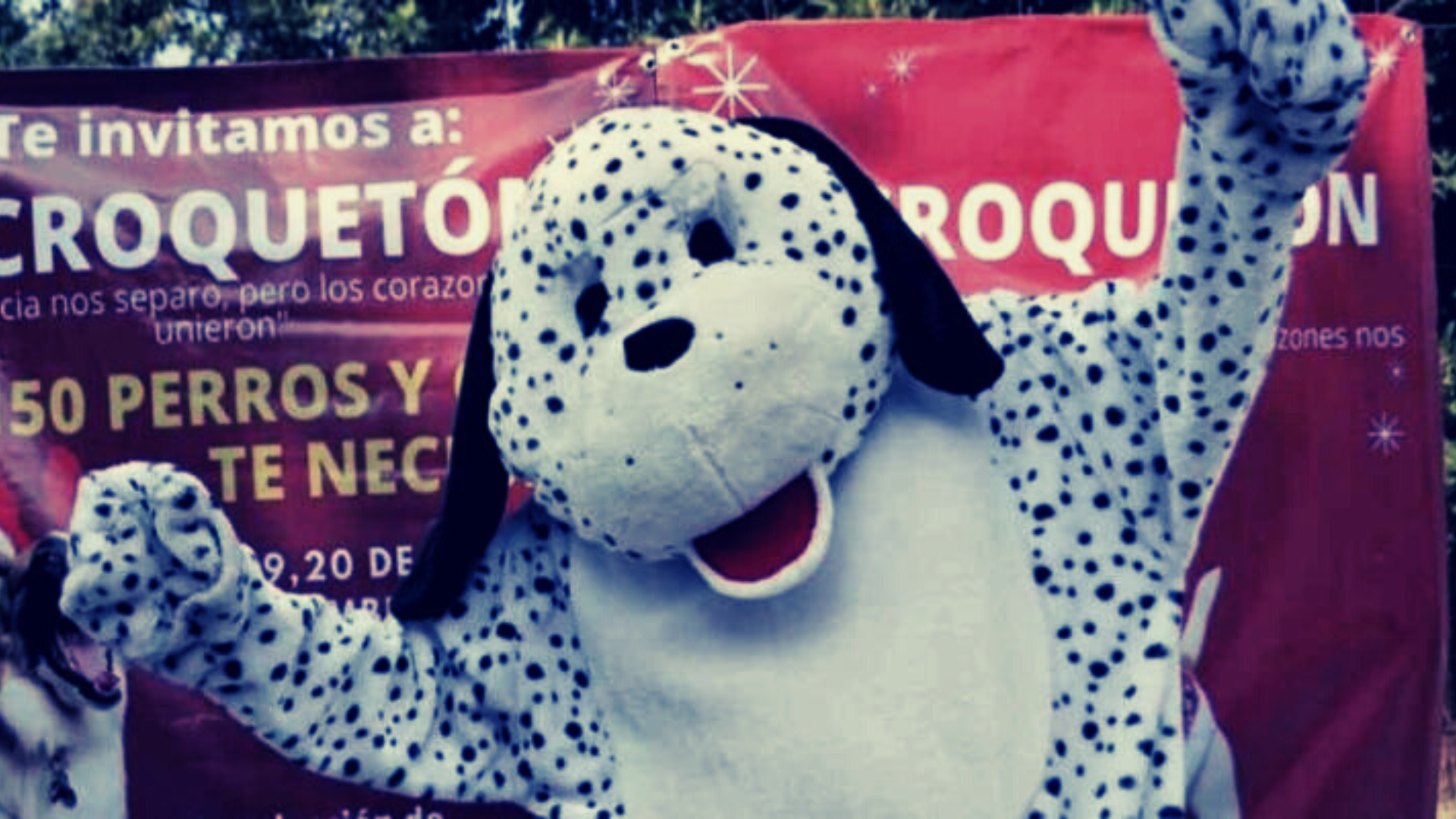 Continuará colecta de croquetas