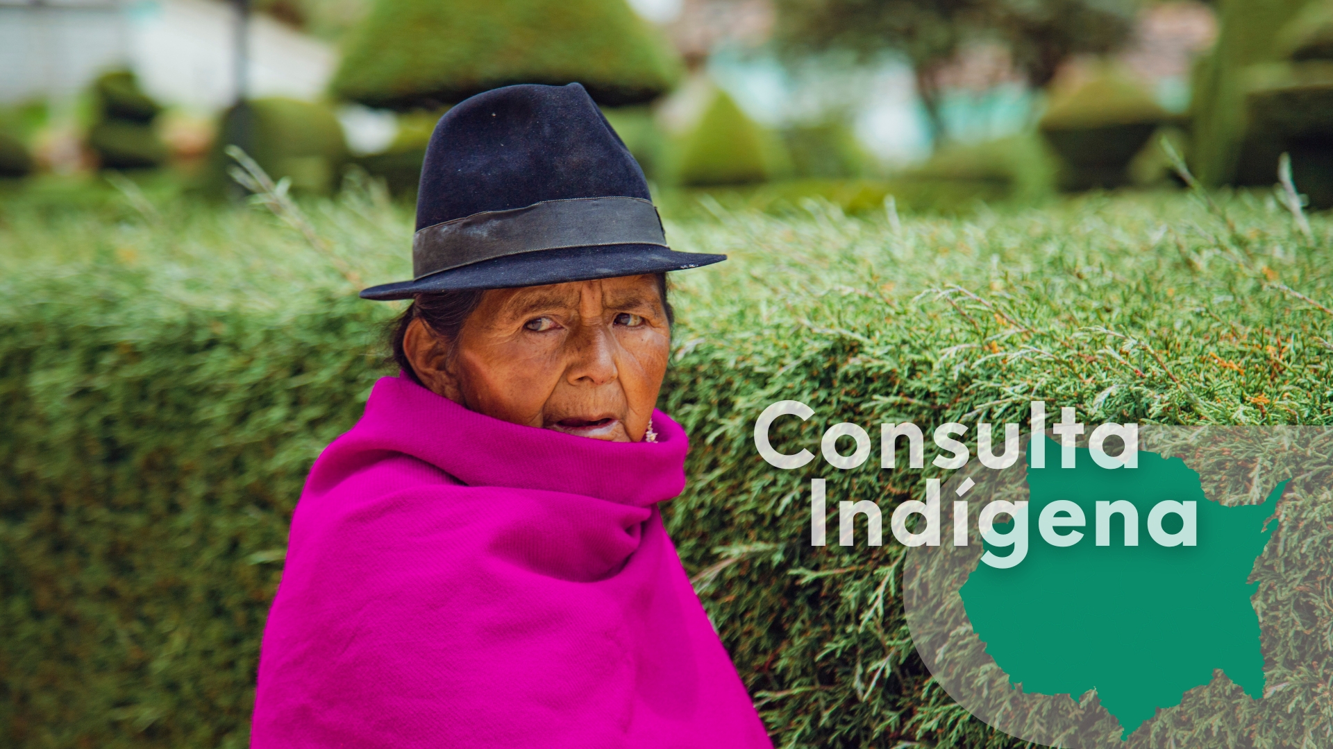 Consulta indígena debe estar lista en junio