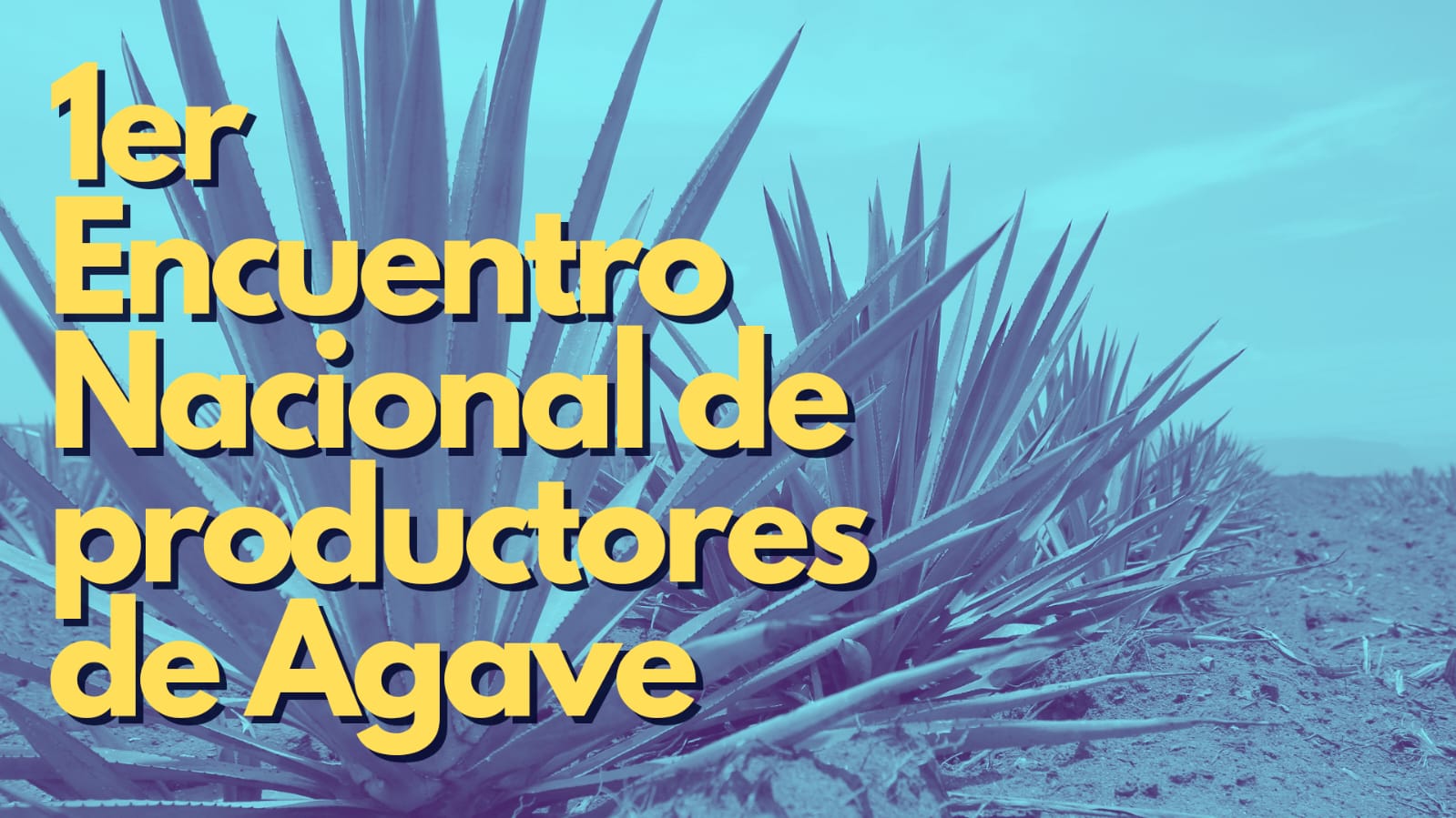 Será sede Tepalcingo y Tepoztlán del «Encuentro Nacional de productores de Agave»