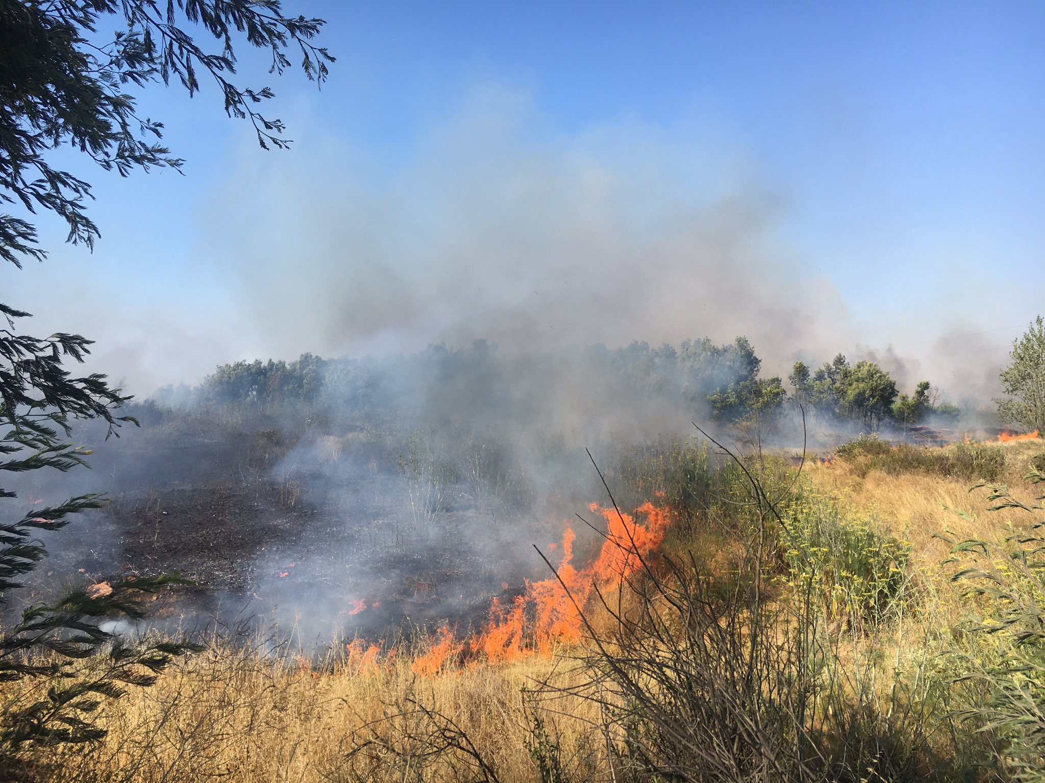 Al menos ocho incendios se registran en Cuautla