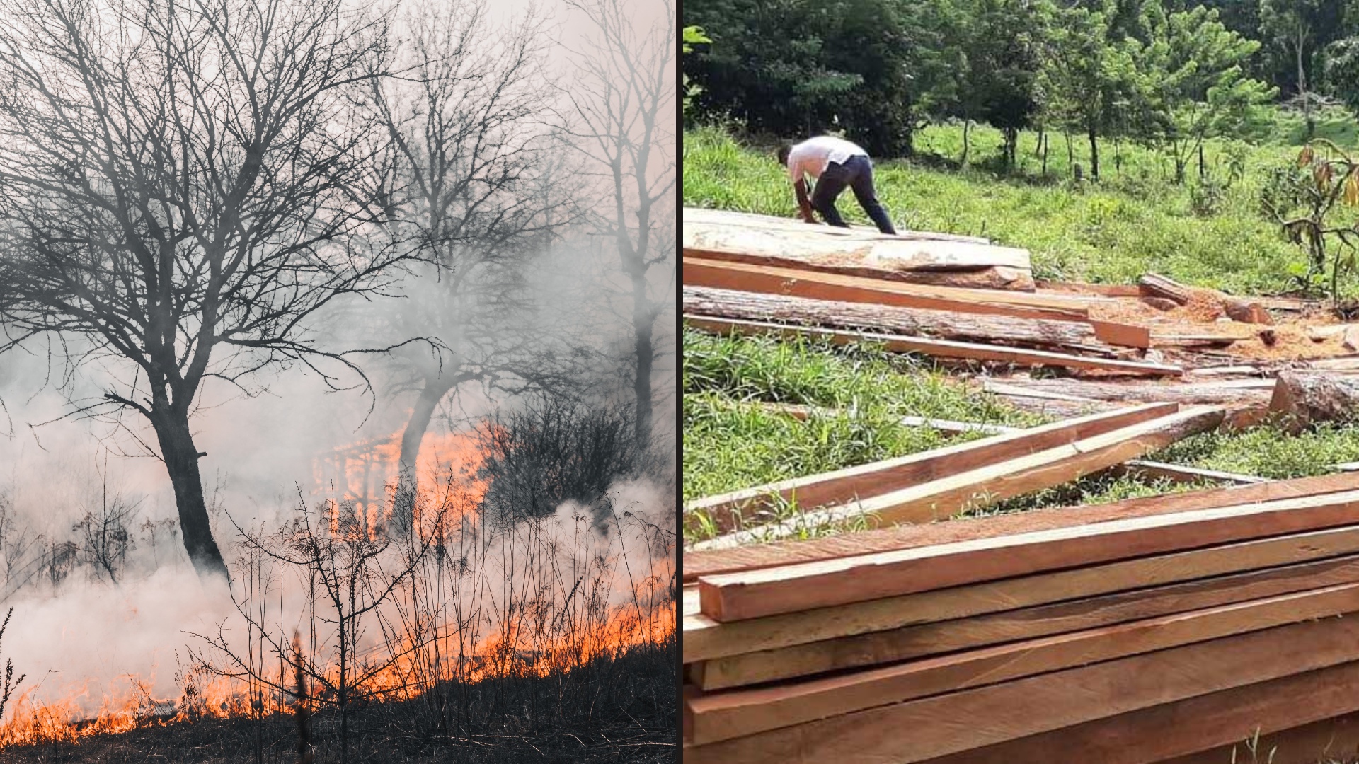 Suman más de 52 incendios forestales Se han consumido 380 hectáreas