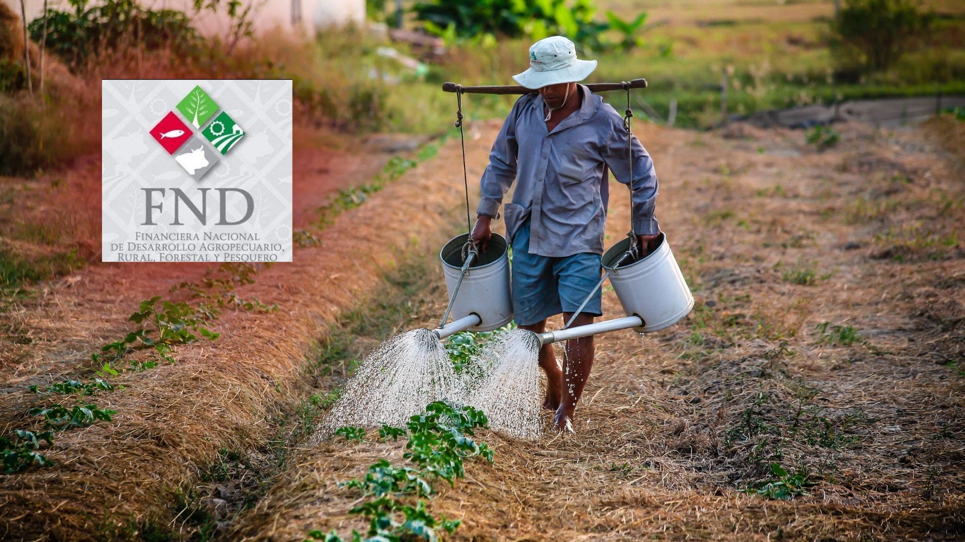 Campesinos afectados por desaparición de FND