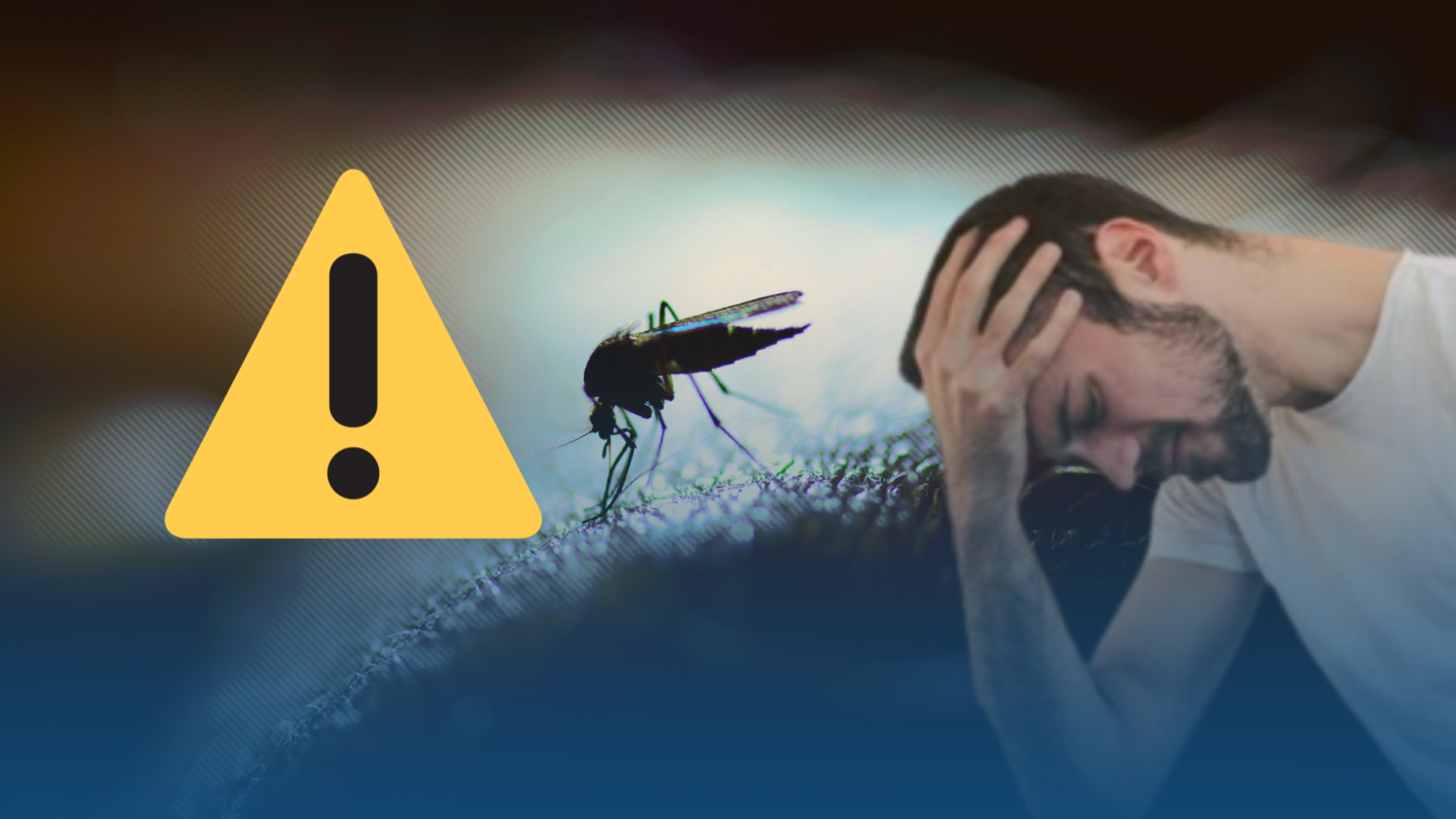Emite SSM recomendaciones para evitar dengue, zika y chikungunya en estas vacaciones