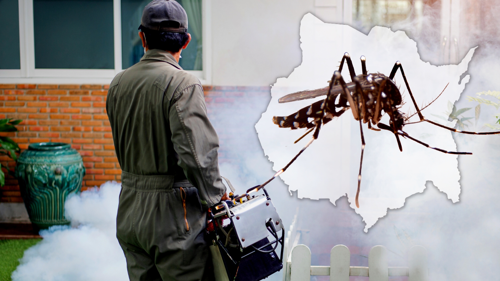 Se Triplican casos de Dengue en Morelos