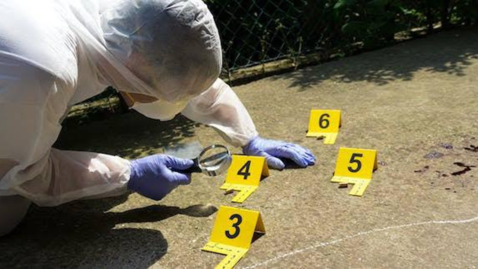 Van más de 600 homicidios en lo que va del año