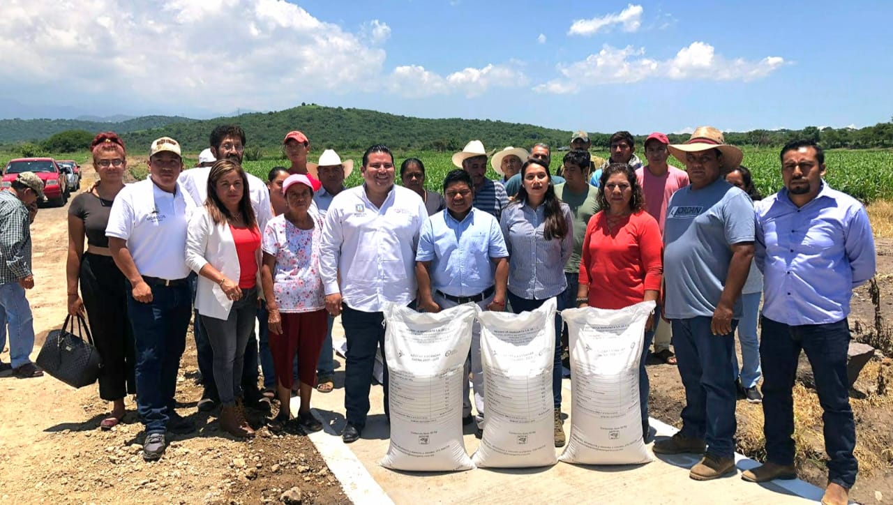 Gobierno del estado apoya a productores apícolas de Zacualpan