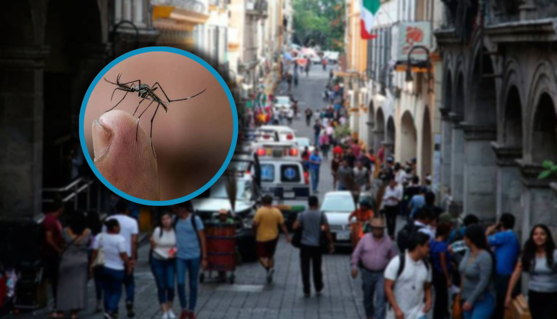 Sube a 11 las defunciones por dengue