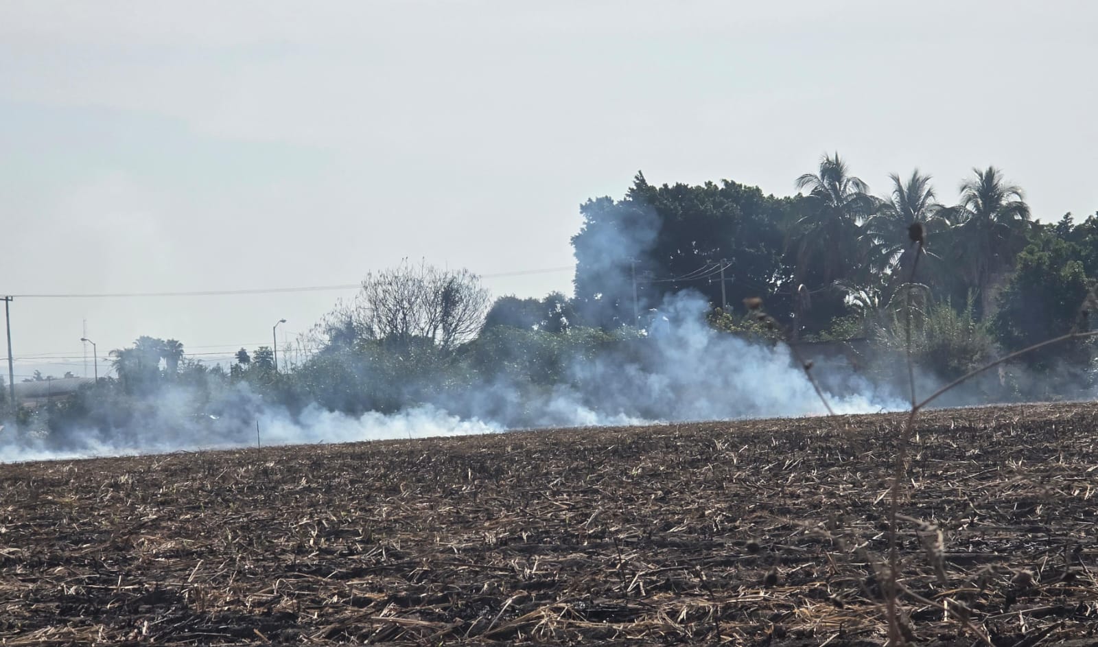 De 3 a 5 incendios de pastizales se atienden en Ayala