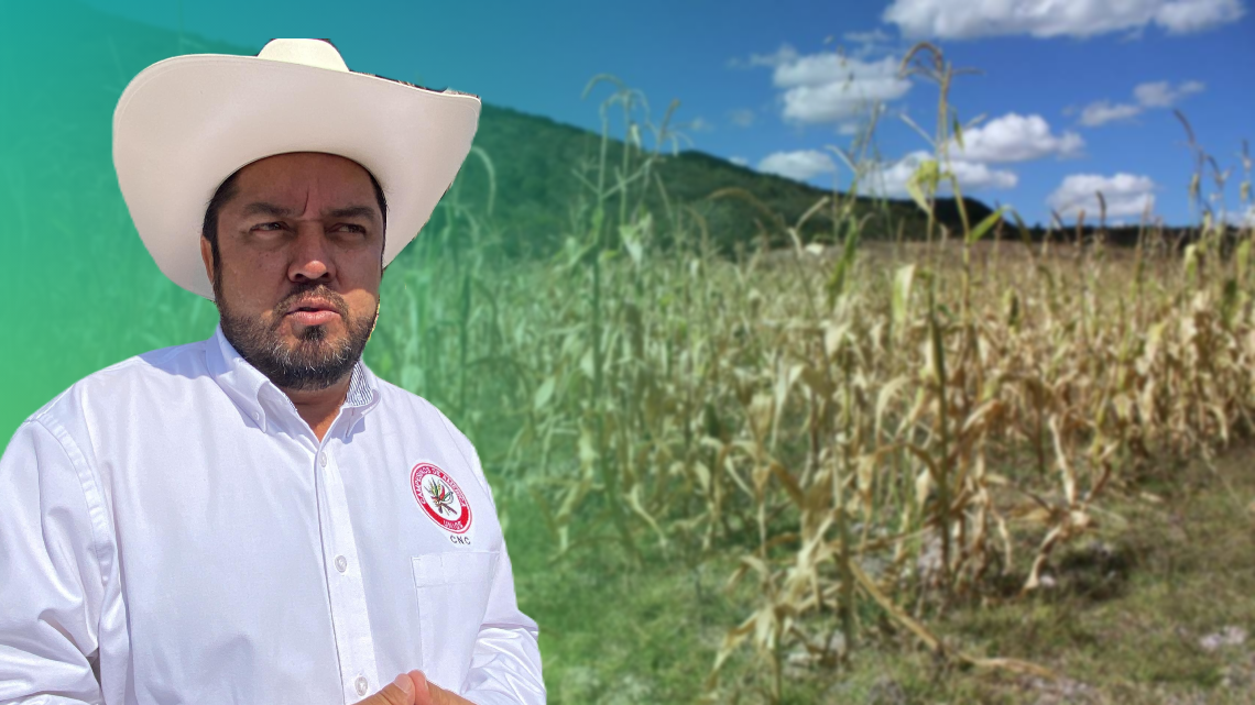 Ante sequía, falta de apoyo y poca lluvia bajará producción de granos