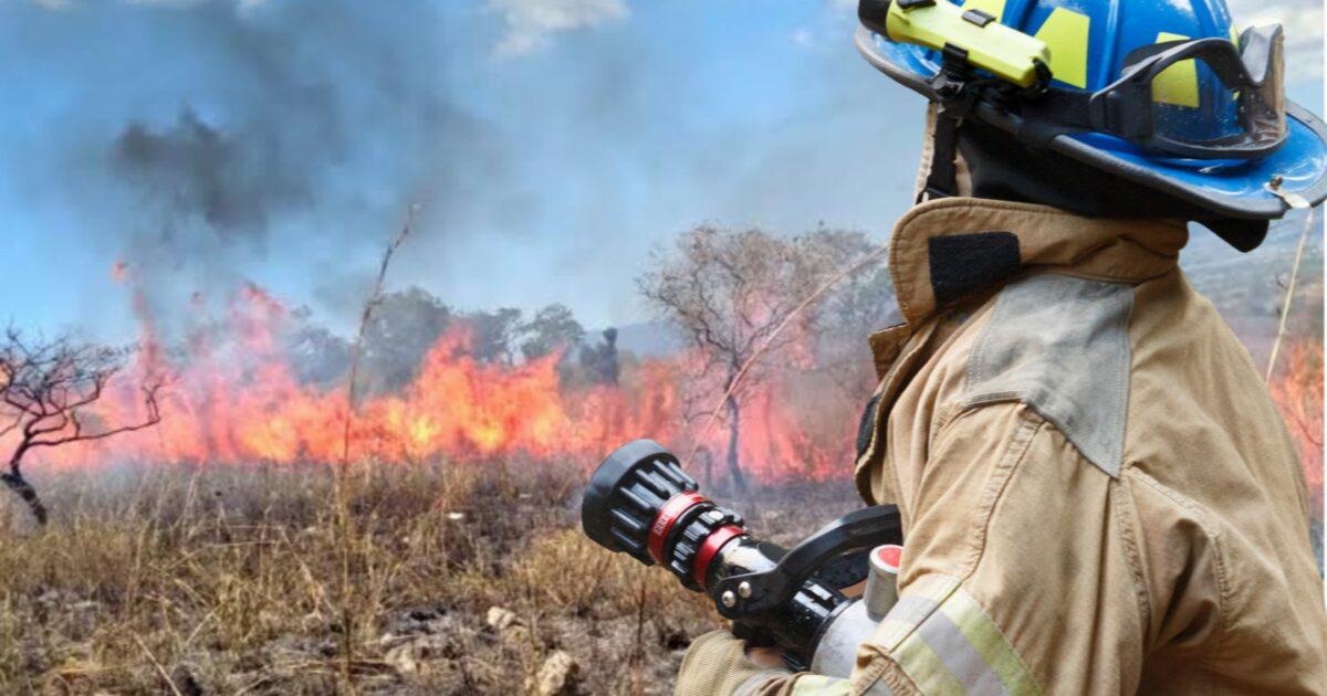 Mantiene PC Ayala vigilancia de incendios