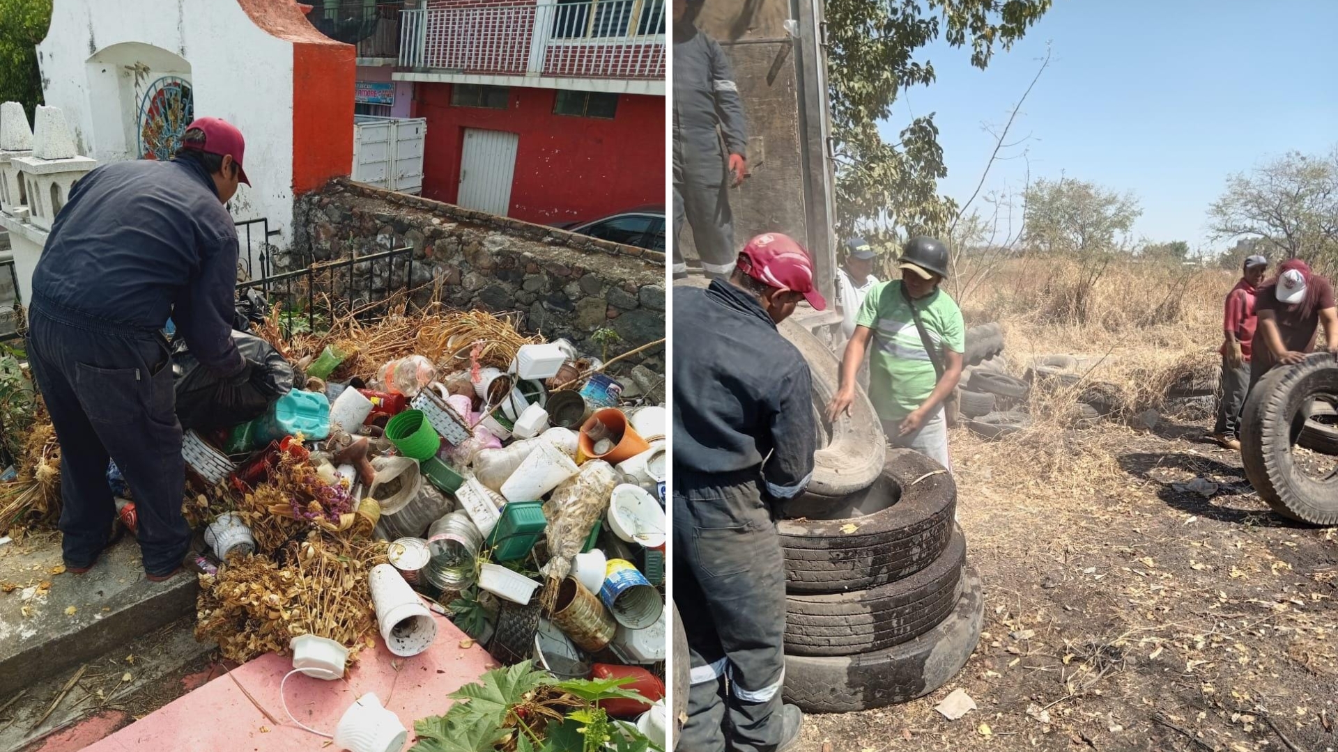 Dan a conocer las 10 colonias que concentran los casos de dengue en Cuautla•