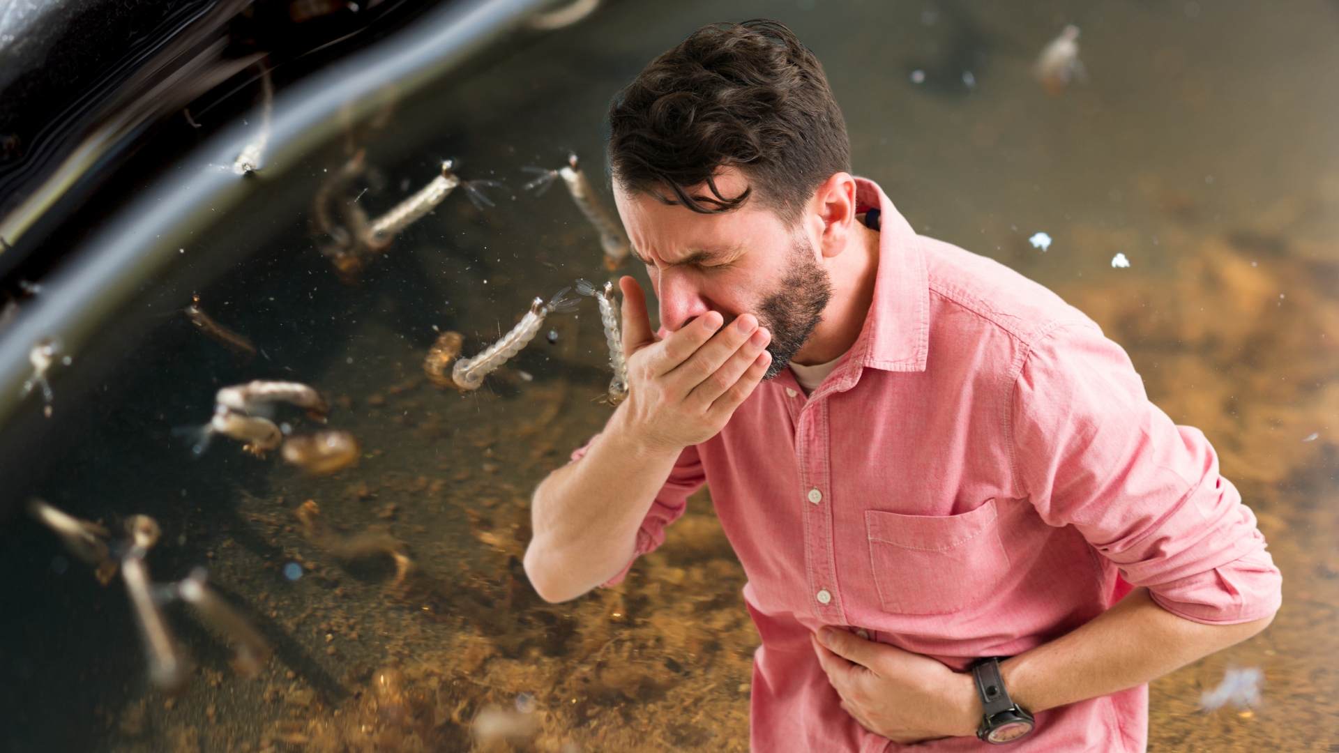 Náuseas y vómito, dos nuevos síntomas del dengue