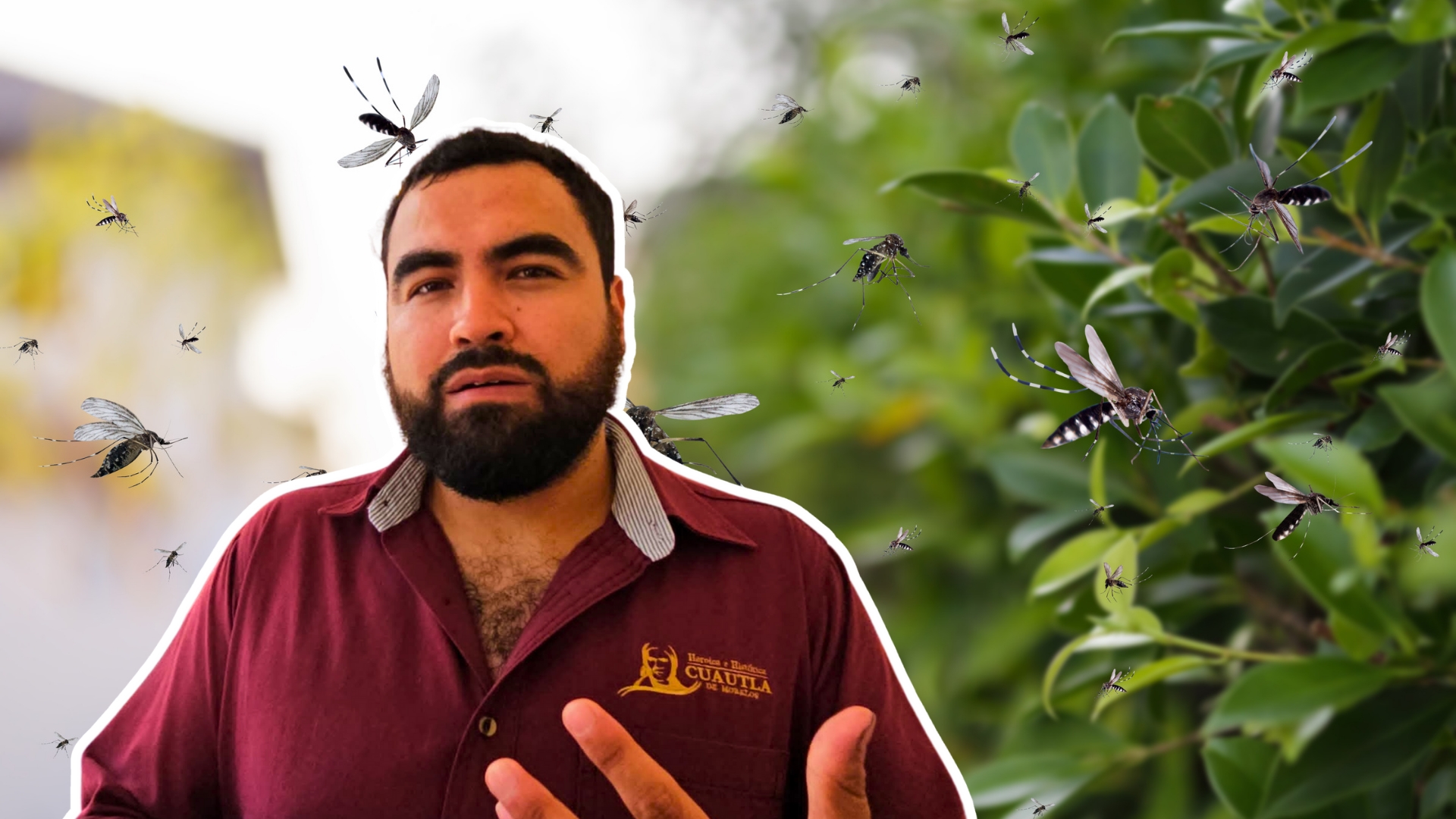 Necesario trabajo conjunto contra el dengue