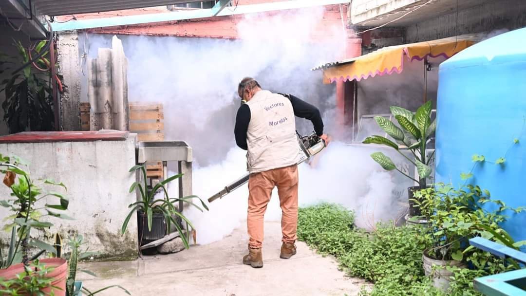 Disminuyen casos de dengue grave en Cuautla