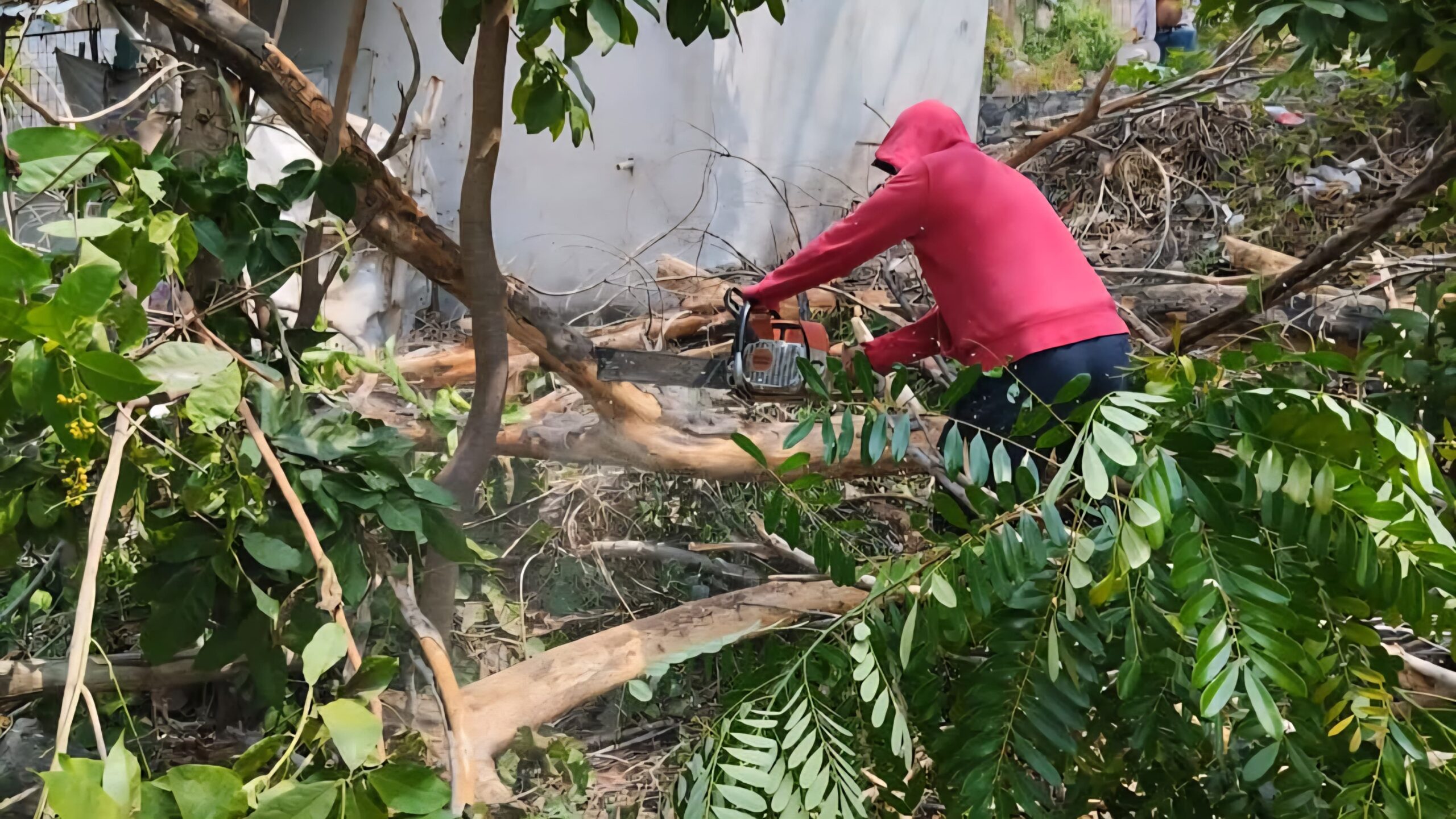 Fuertes vientos del fin de semana causan daños a vivienda