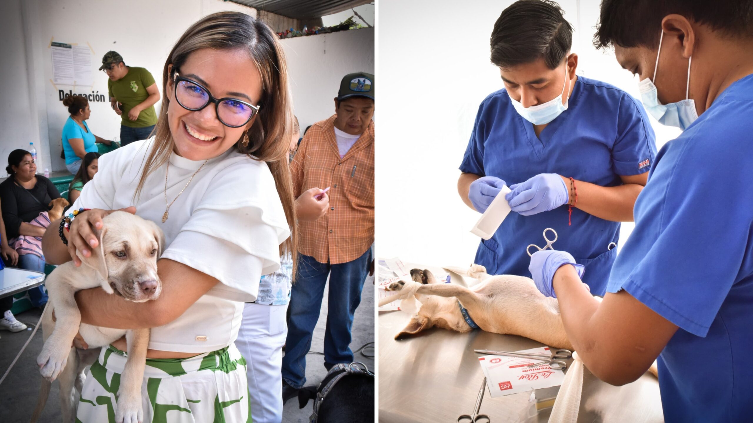 Continúa Ayuntamiento de Emiliano Zapata con campaña de esterilización canina y felina