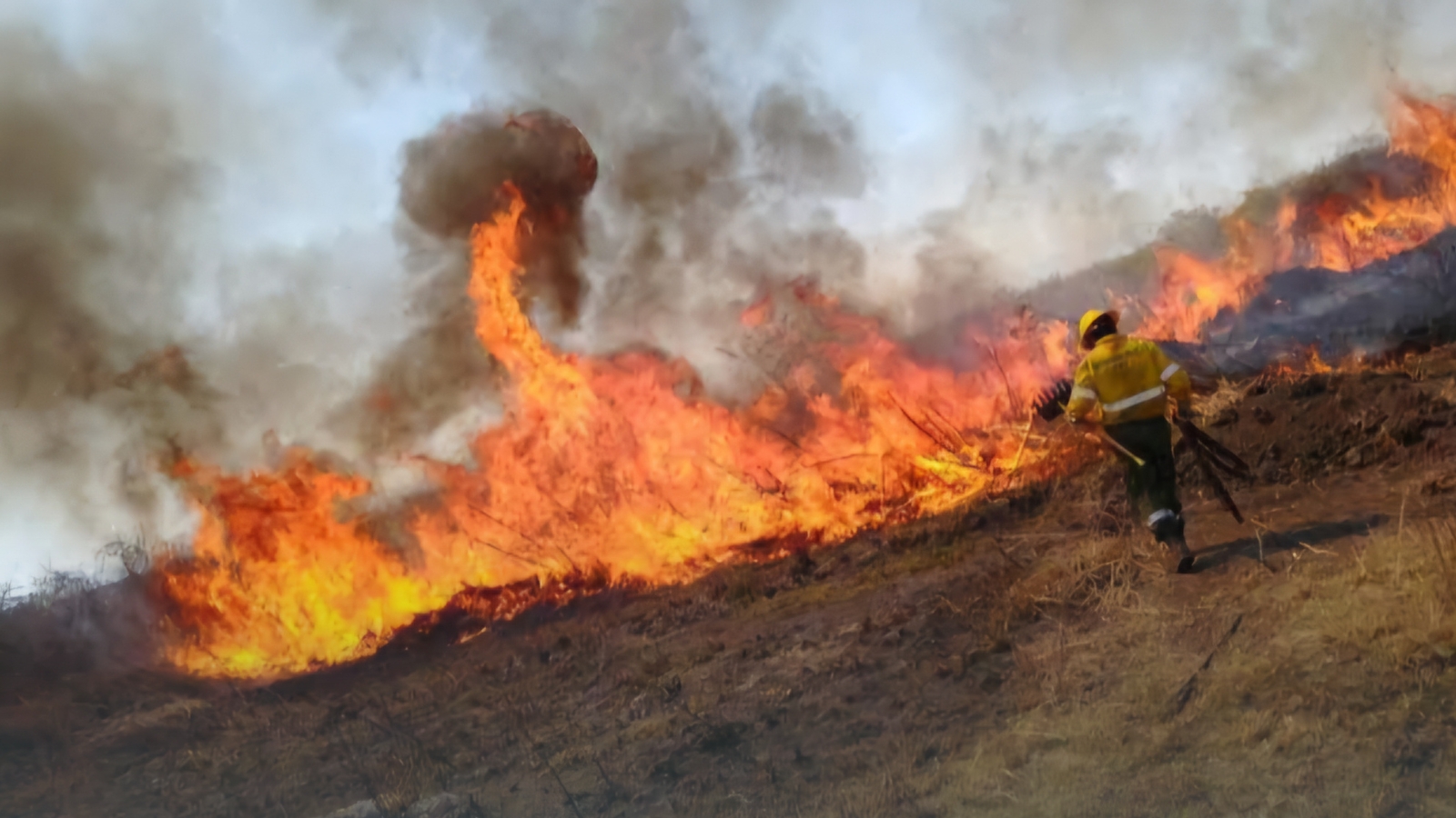 Llaman Bomberos a evitar quemas de pastizales