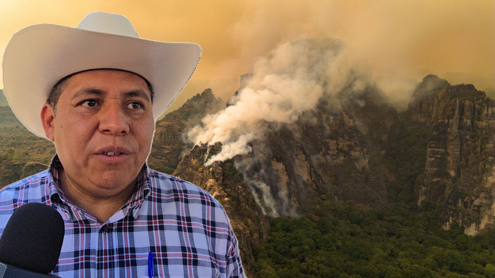Se buscará tipificar como delito grave provocar incendios forestales