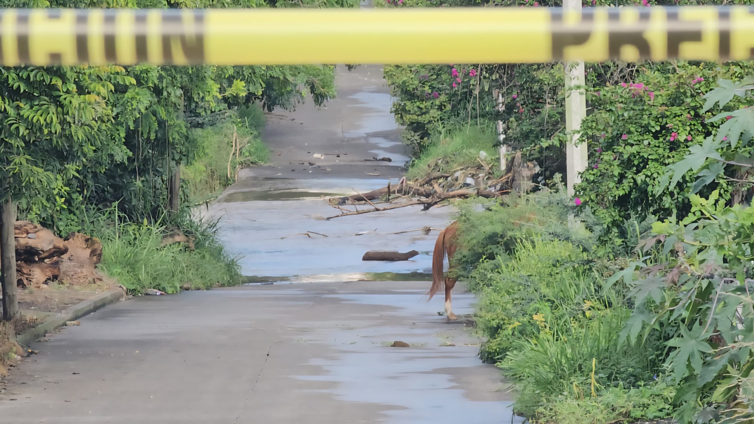 Habrá restricciones de paso en vado de Anenecuilco y otras zonas de riesgo