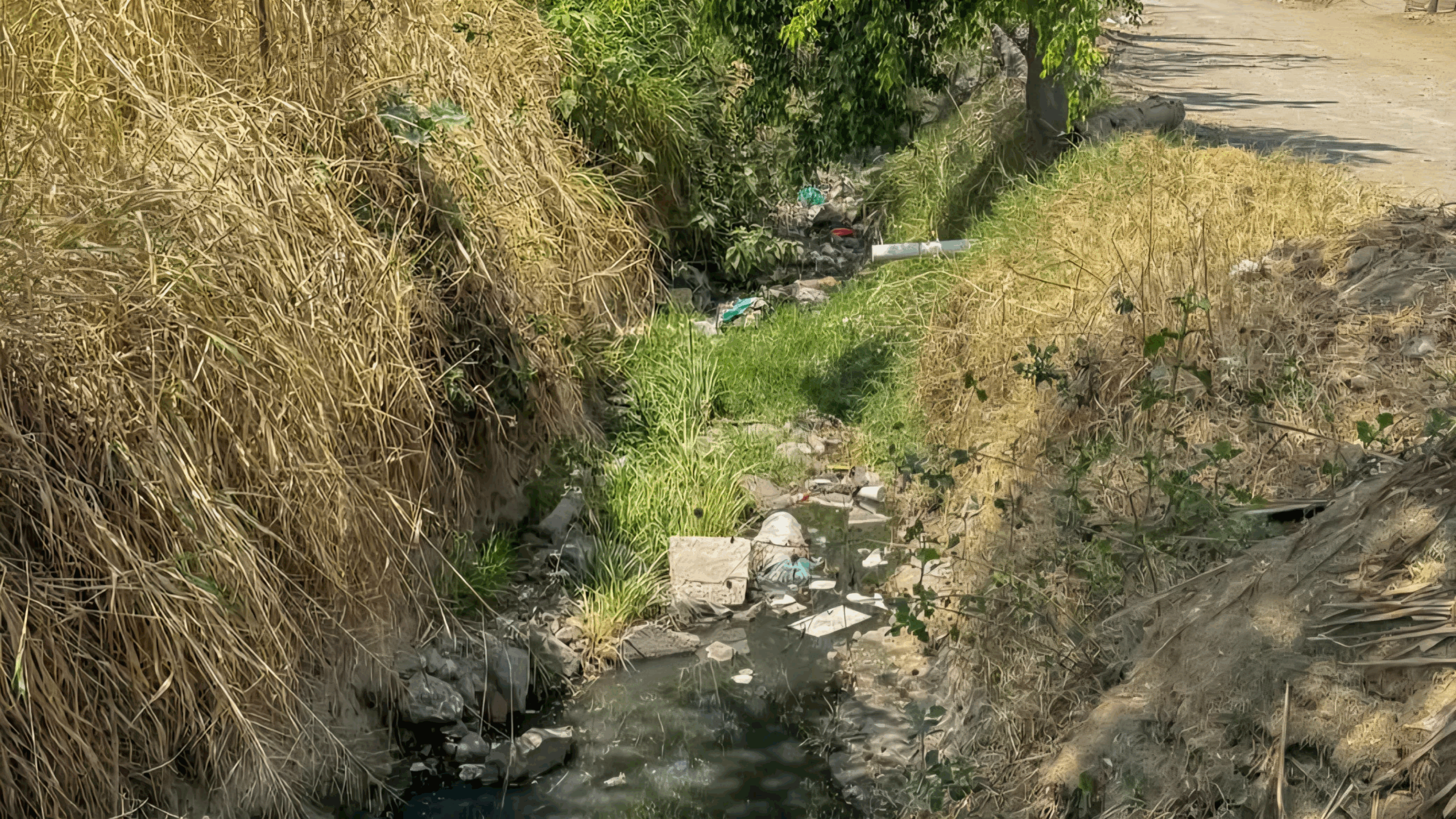 Evalua SOAPSC zonas de alto riesgo por inundación