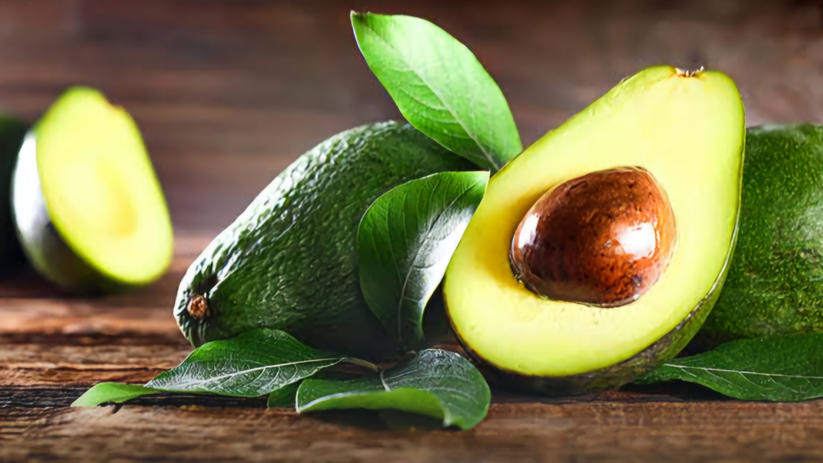 Morelos, 4to lugar nacional en producción de aguacate