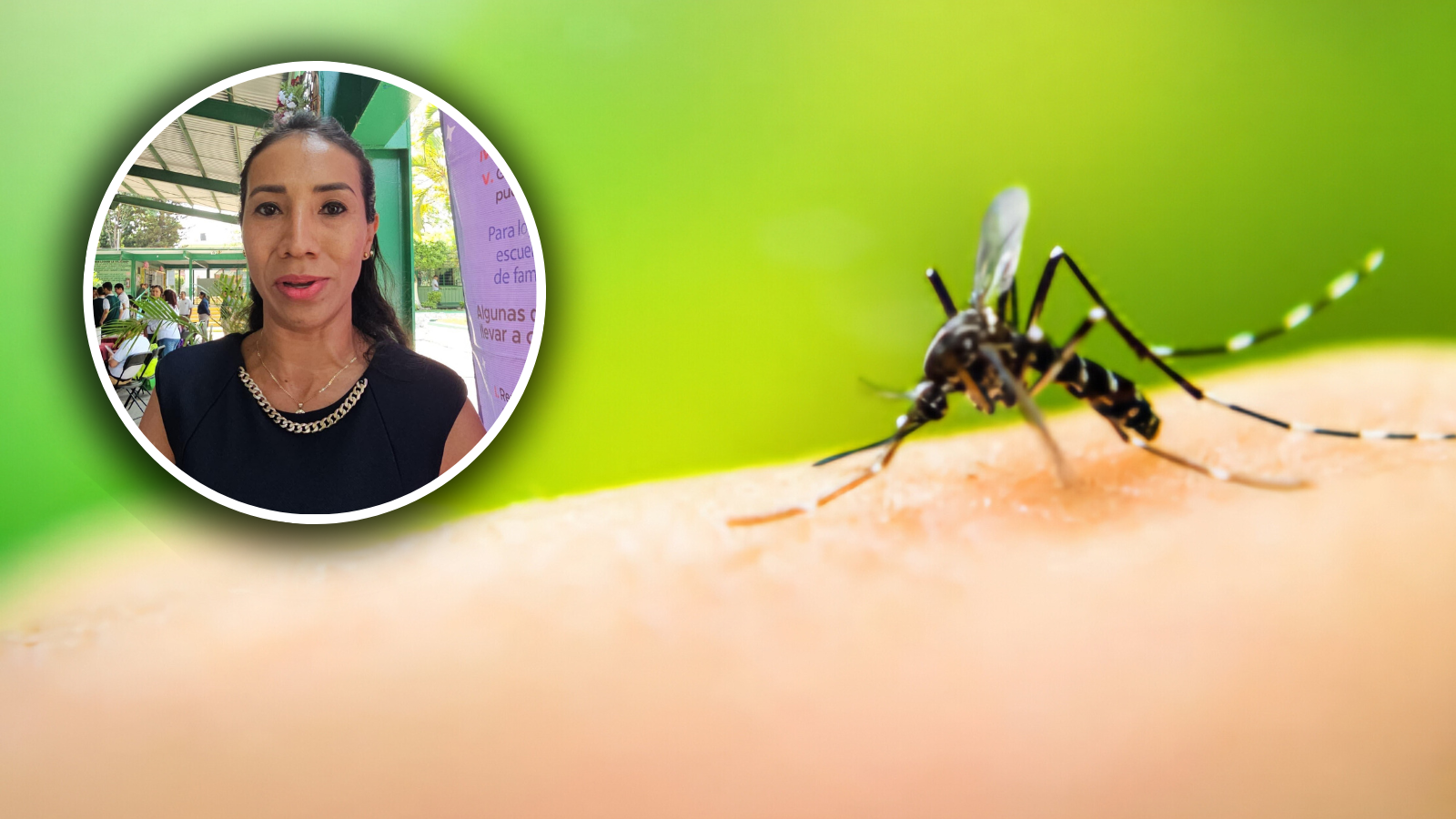 Trabaja Cuautla contra el dengue