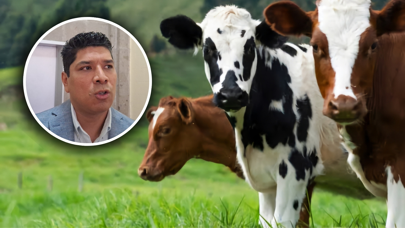 Morelos libre de brucelosis