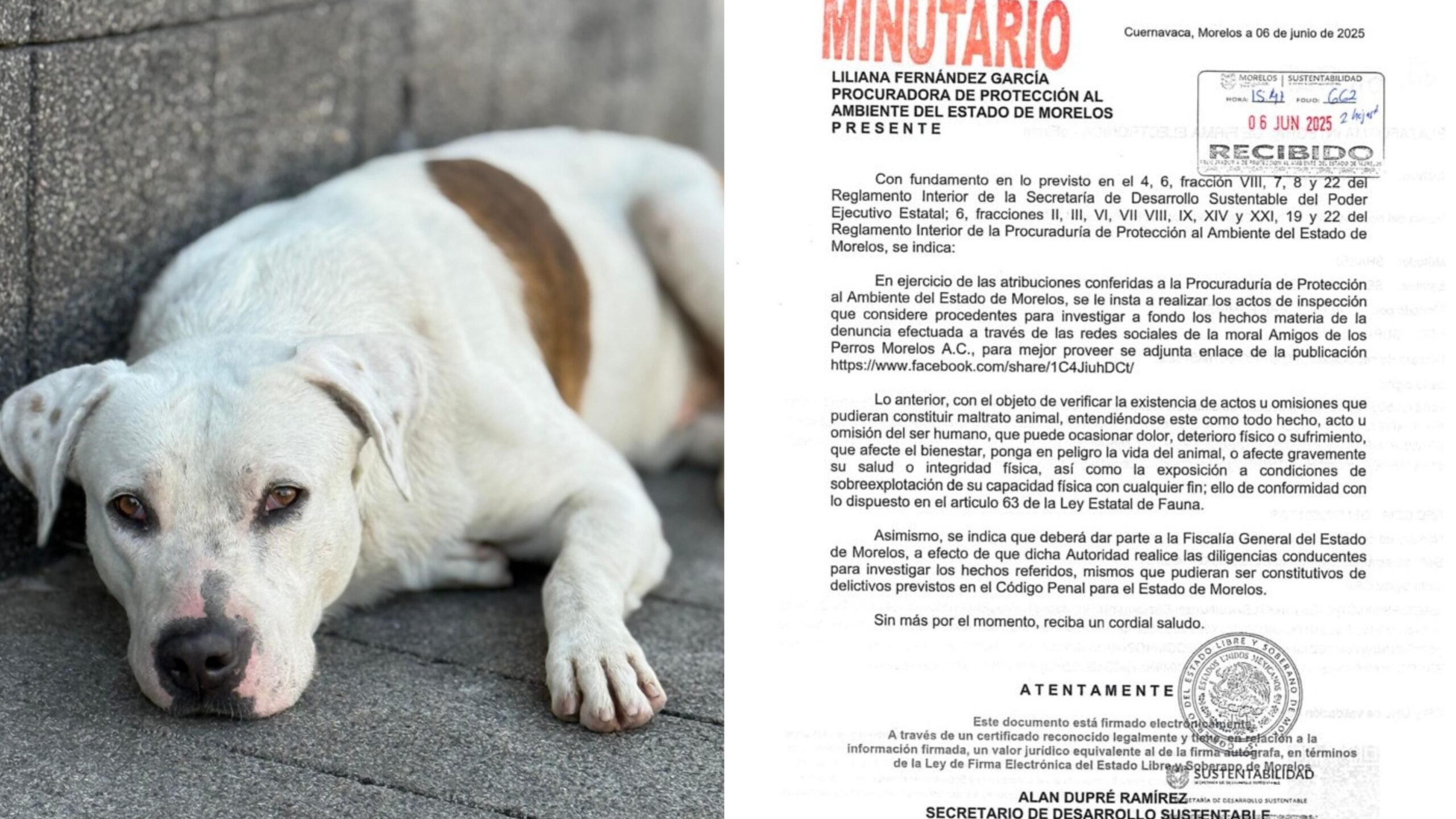Inicia investigación en Cuautla por un caso de maltrato animal