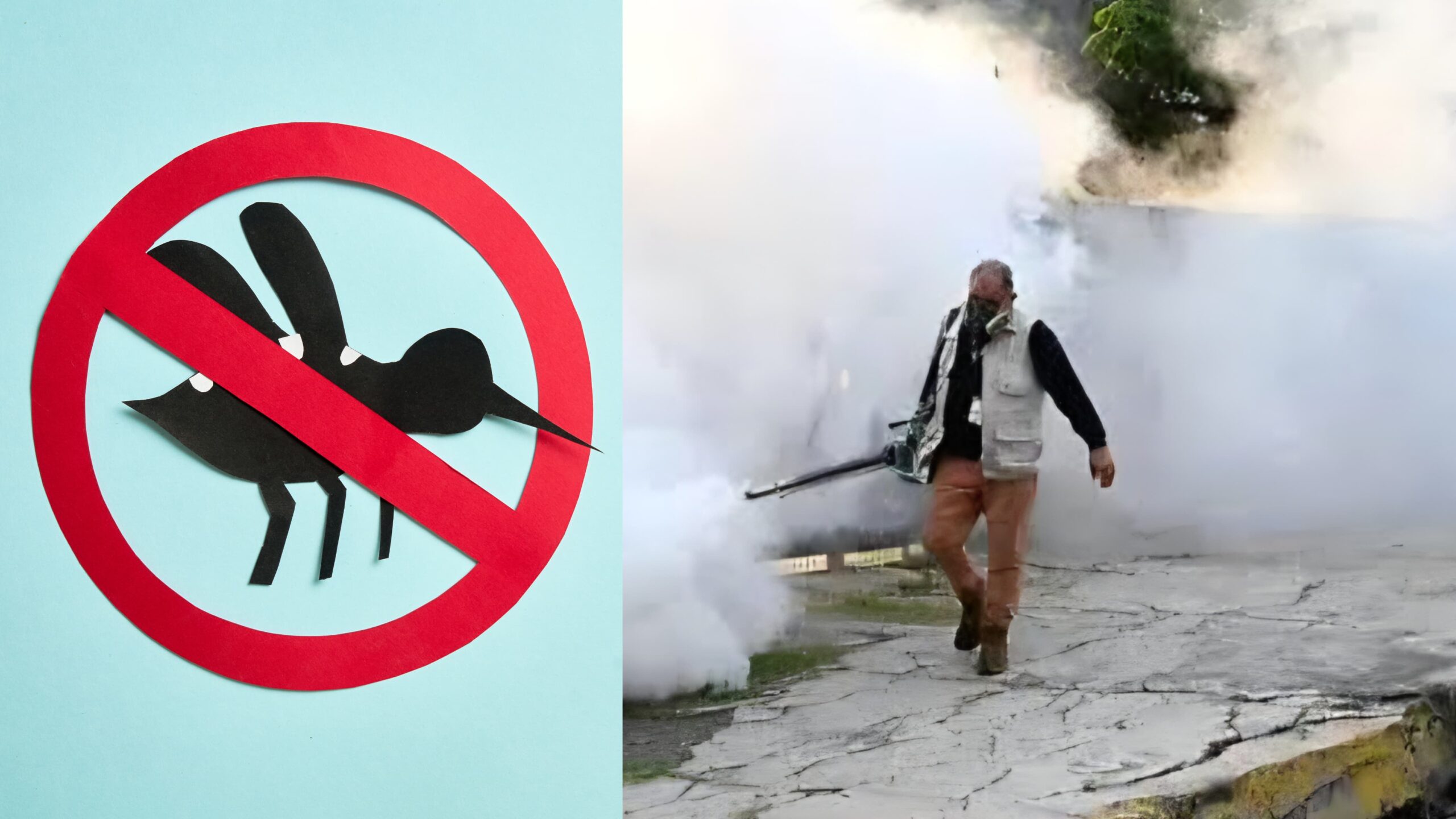 Gobierno de Cuautla reduce 98% casos de dengue en la ciudad