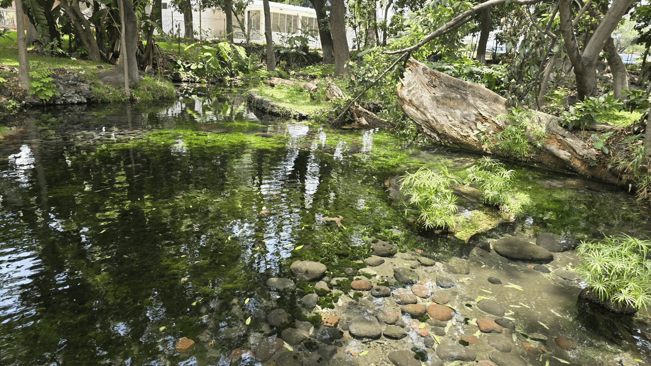 Se recuperan mantos freáticos en Cuautla