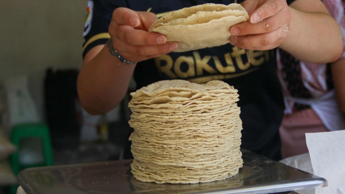 Precio máximo del kilo de tortilla es de 28 pesos