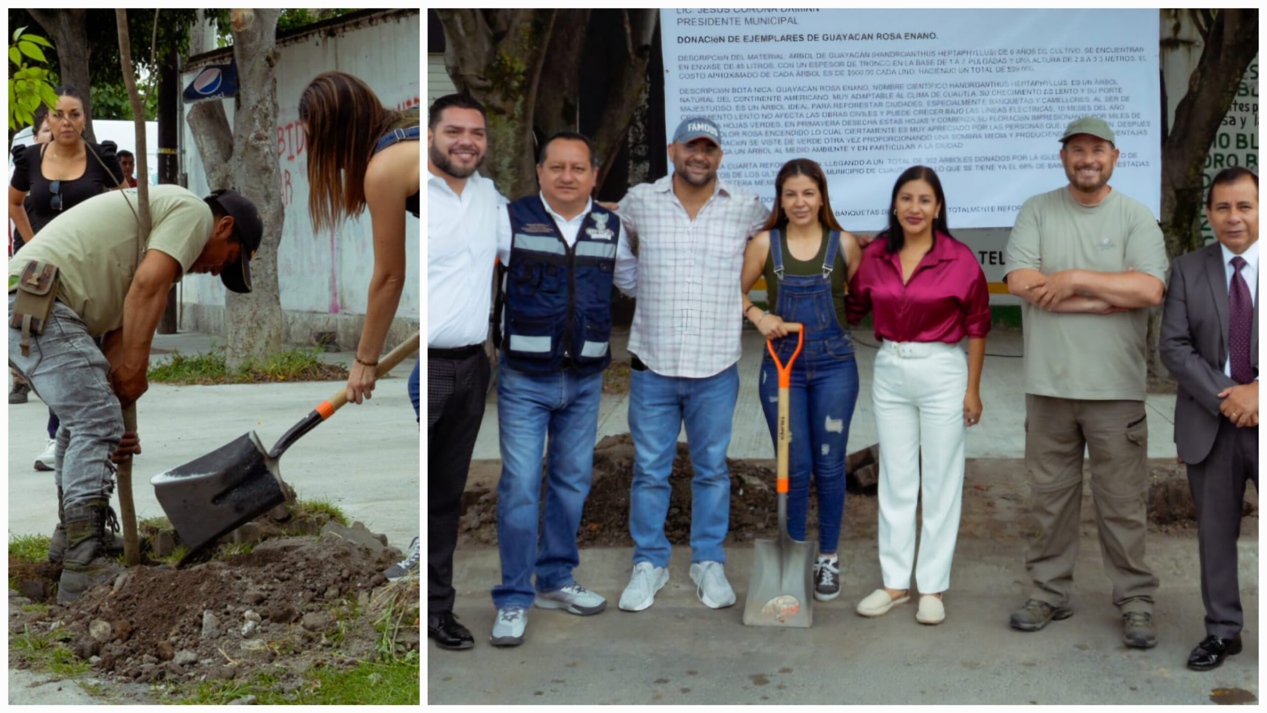 Se llevó a cabo la cuarta reforestación en Cuautla