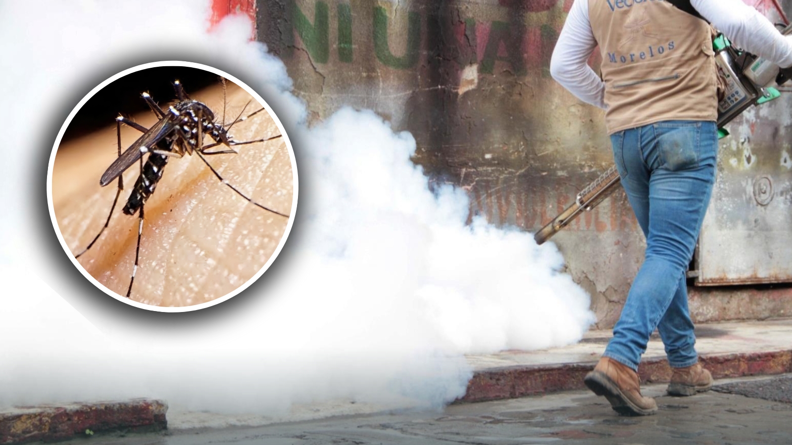 Dengue cobra su segunda víctima en Morelos