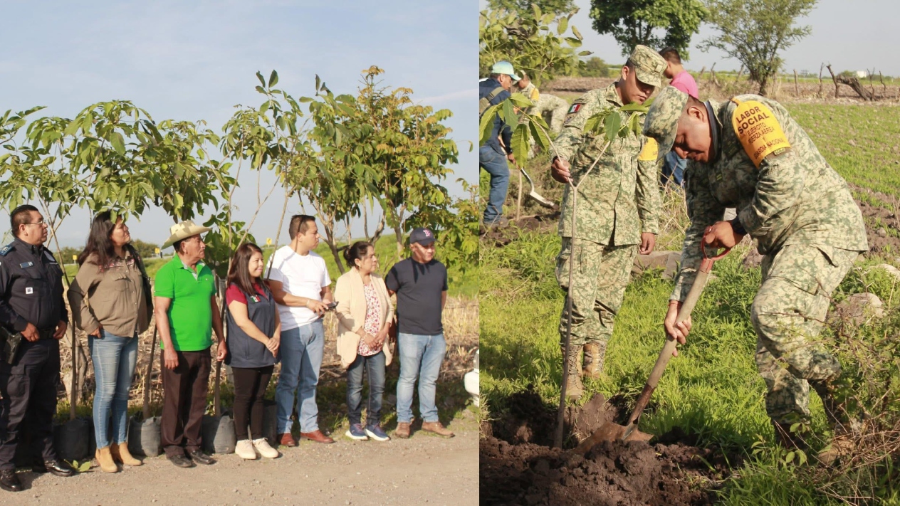 Realizan jornada de reforestación en Jantetelco