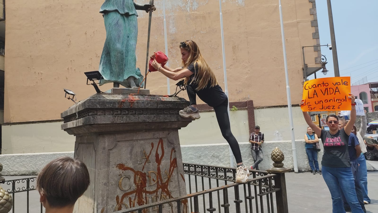 Animalistas vandalizan TSJ