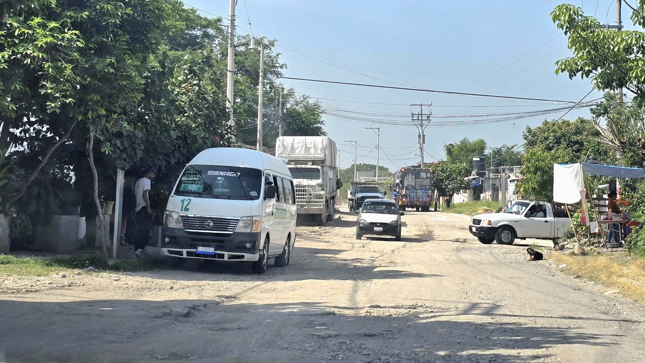 Ruta de la Bisnaga reanuda servicio