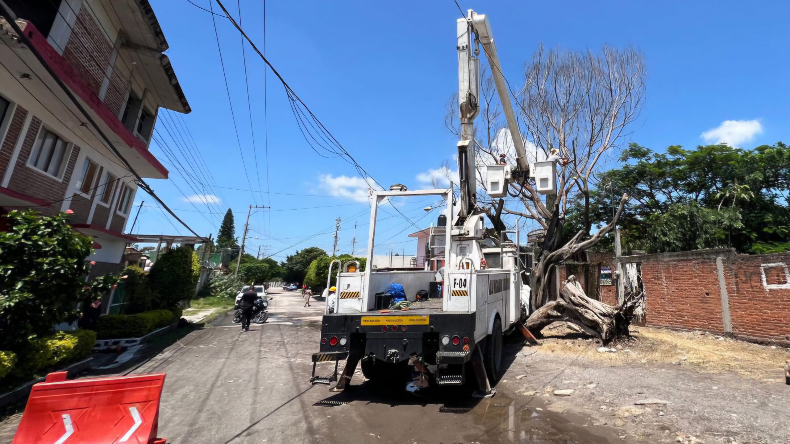 Retiran árbol para prevenir algún riesgo a habitantes del fraccionamiento volcanes
