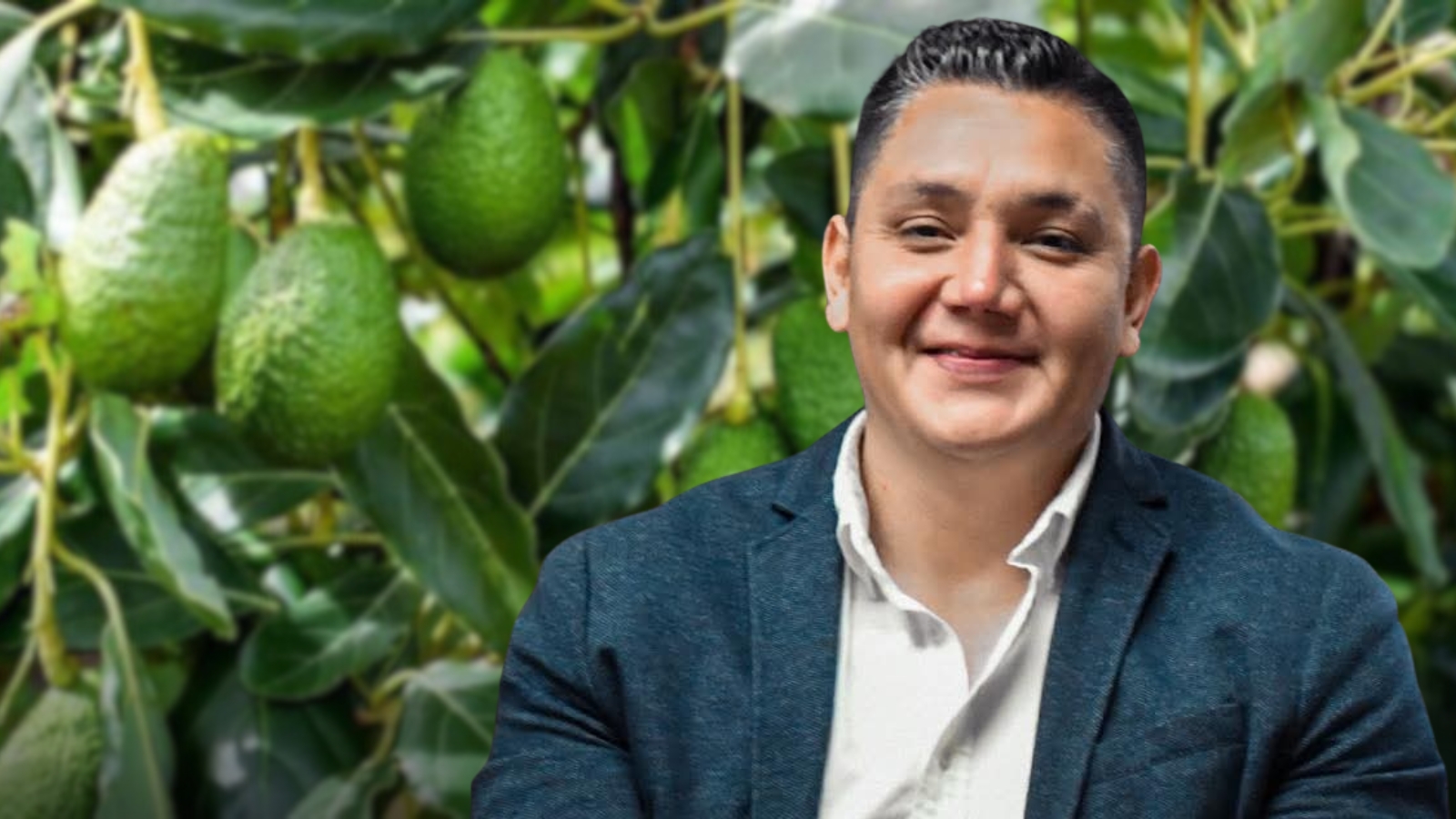 Acuerdan reforzar seguridad en huertos de aguacate