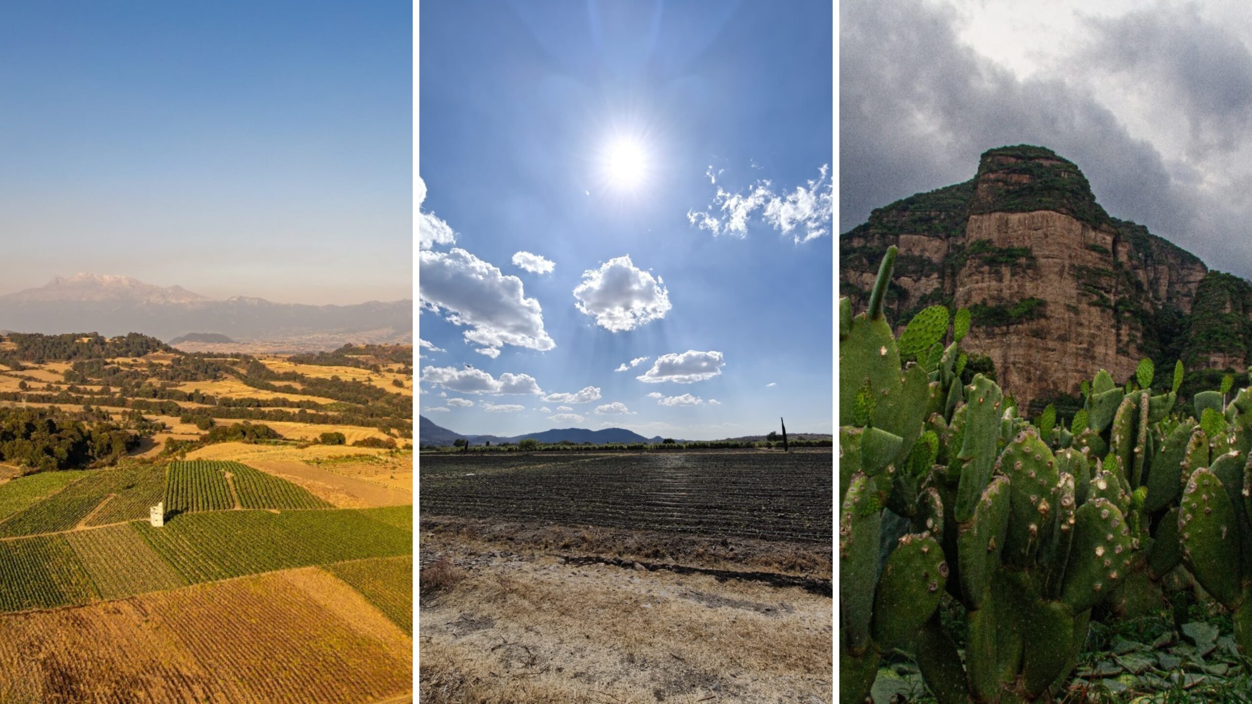 Llaman a productores agrícolas a prepararse para la llegada de la canícula