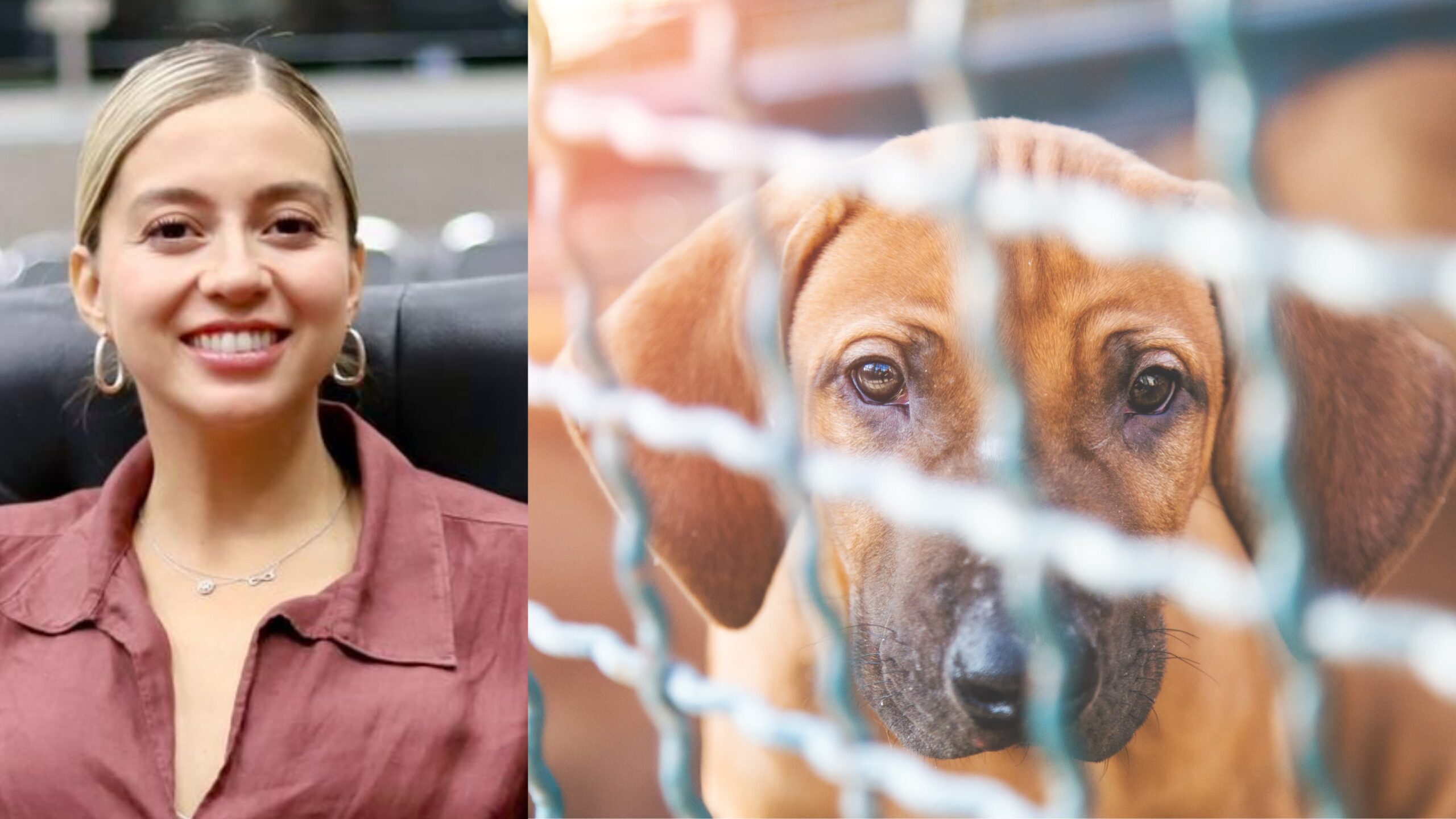 Se compromete Diputada Andy Gordillo con quiénes no tienen voz