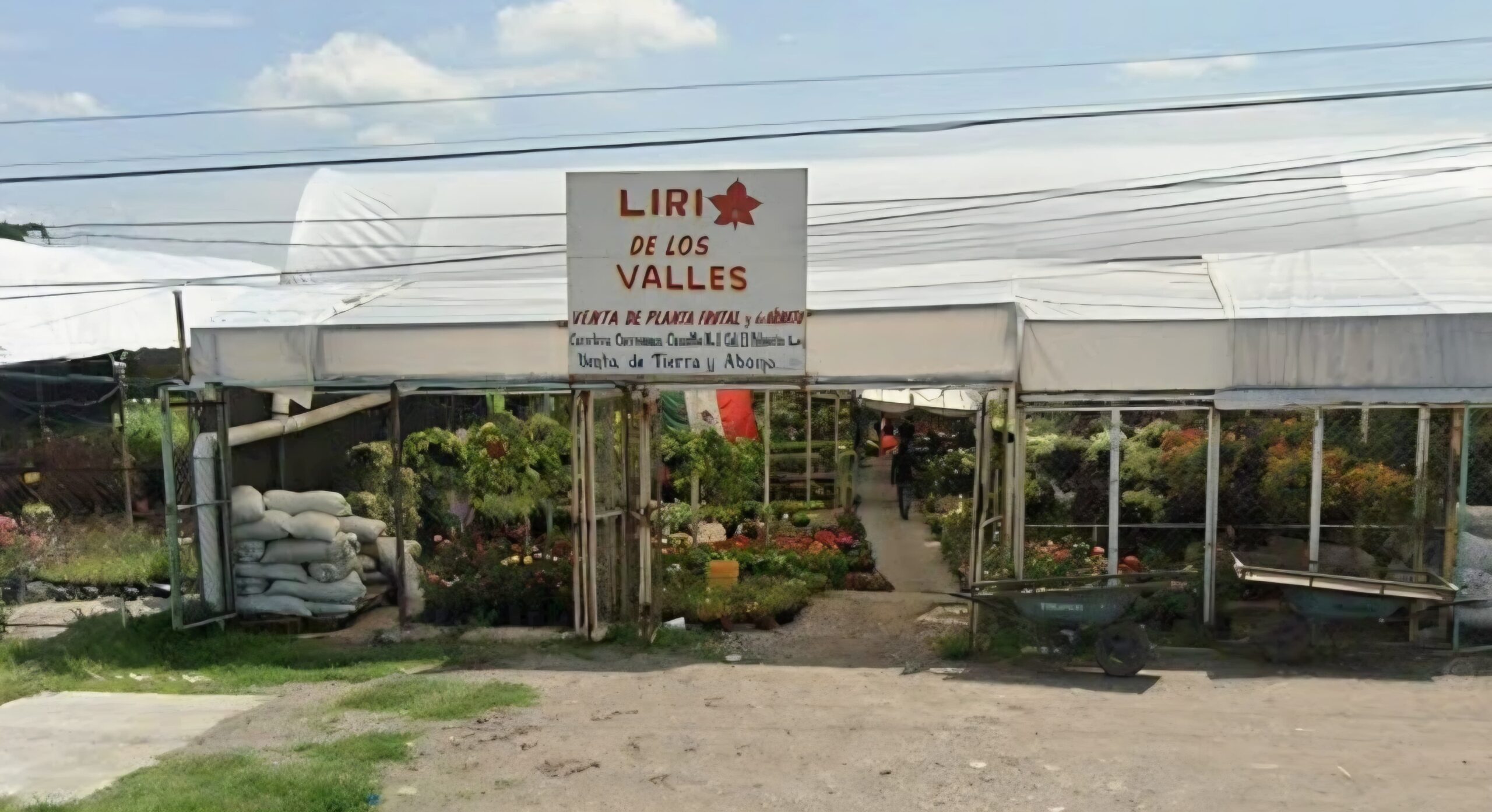 Atacan a balazos vivero «Lirio de los Valles» en Cuautla