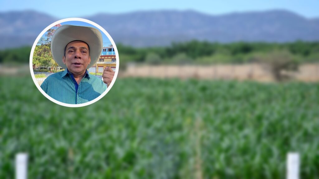 Pide Central Campesina Cardenista ser tomados en cuenta en las mesas de seguridad