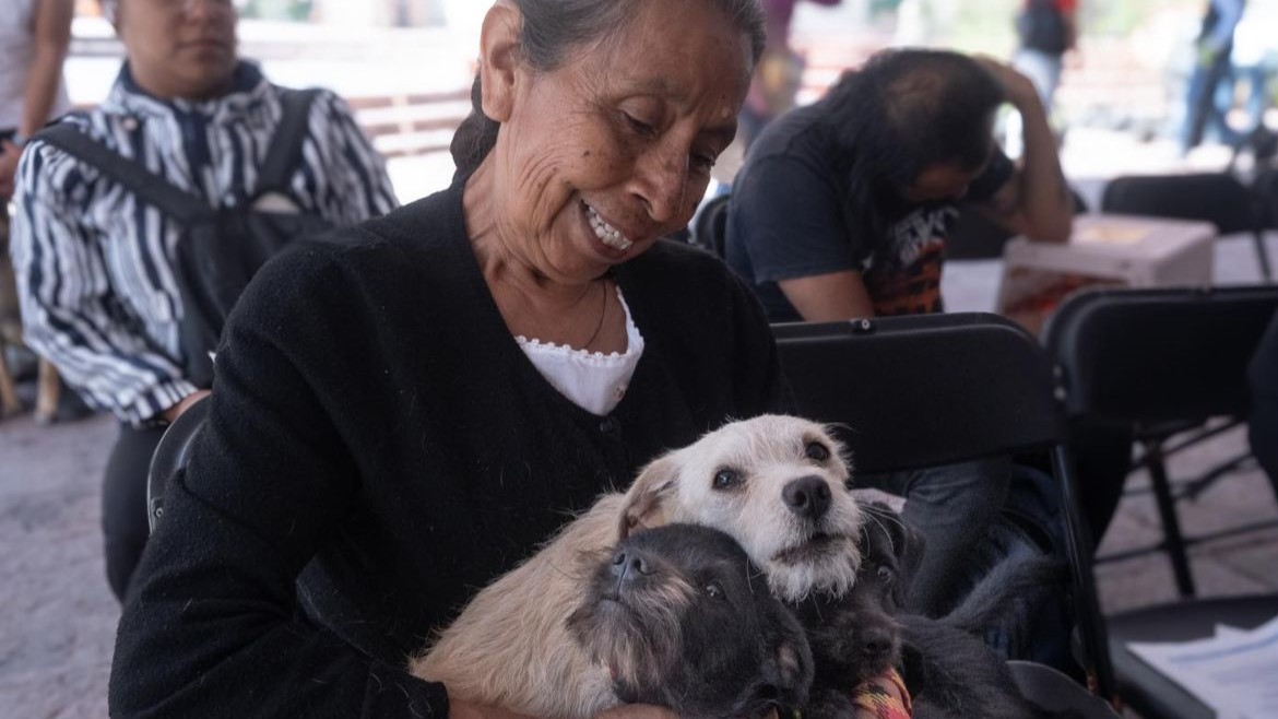 Anuncia Ocuituco campaña de esterilización canina y felina en Huecahuaxco