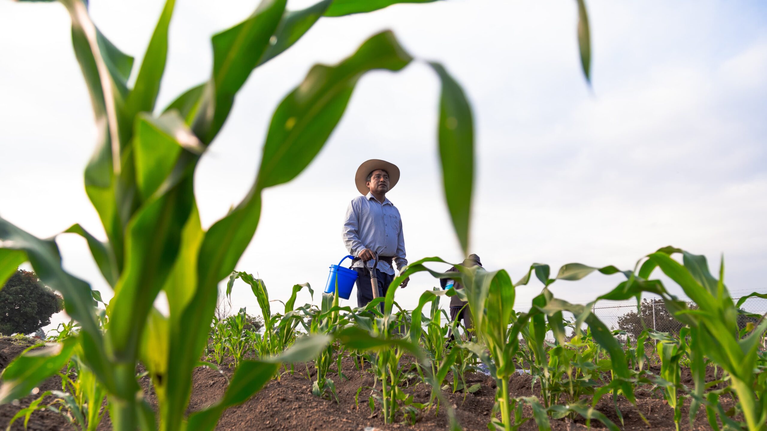 Capacitarán a campesinos de Jonacatepec sobre uso de Plataforma agroalimentaria